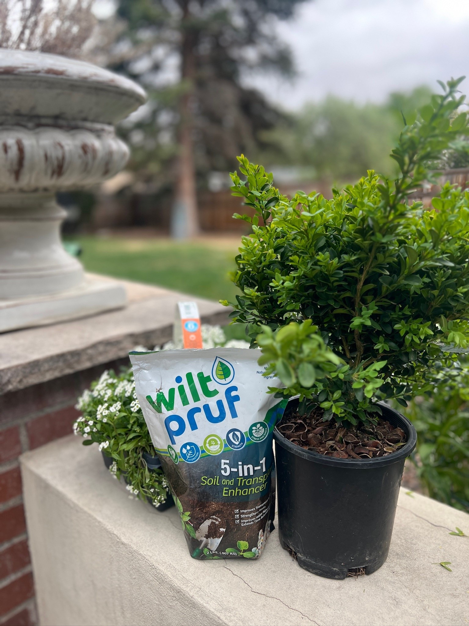 Can’t wait to see how this soil enhancer works for my flowers this year 🌼🌷

#LTKSeasonal #LTKHome #LTKSaleAlert