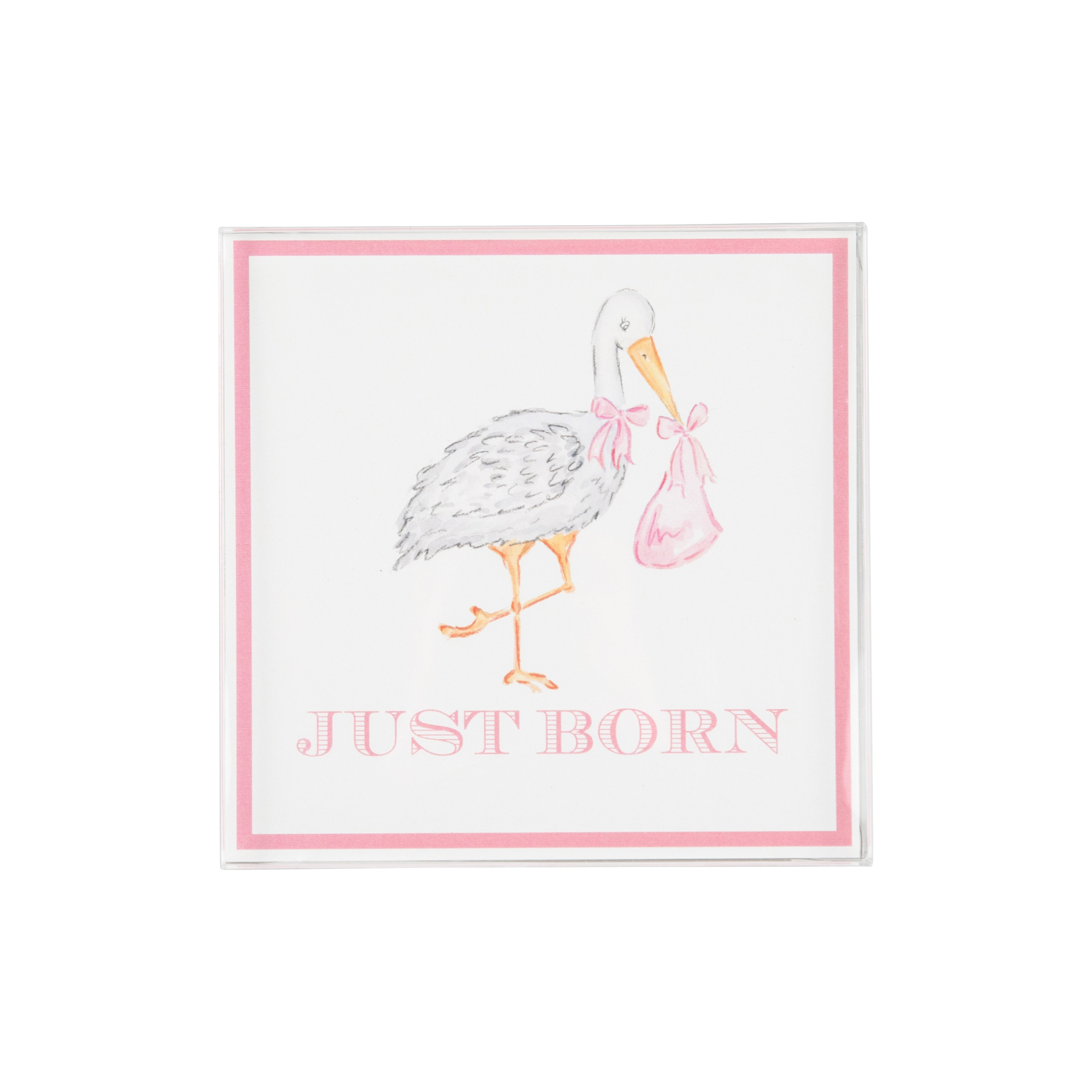 Sir Proper's Month Markers - Palm Beach Pink | The Beaufort Bonnet Company