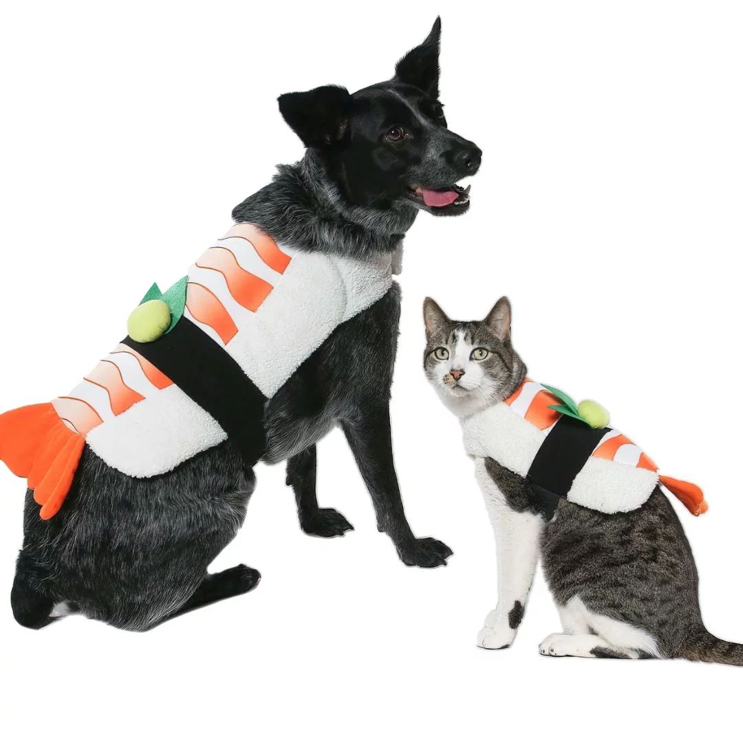 Vibrant Life Halloween Dog Costume and Cat Costume: Sushi, Size Extra-Small | Walmart (US)