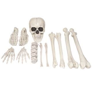 Bag of Skeleton Bones by Ashland® | Michaels | Michaels Stores