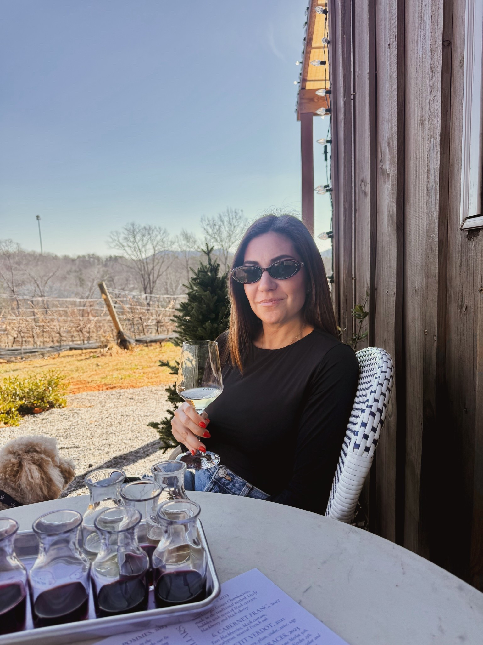 Amazon sunnies that I always reach for 🕶️

Amazon


#LTKootd #LTKOver40 #LTKmomlife