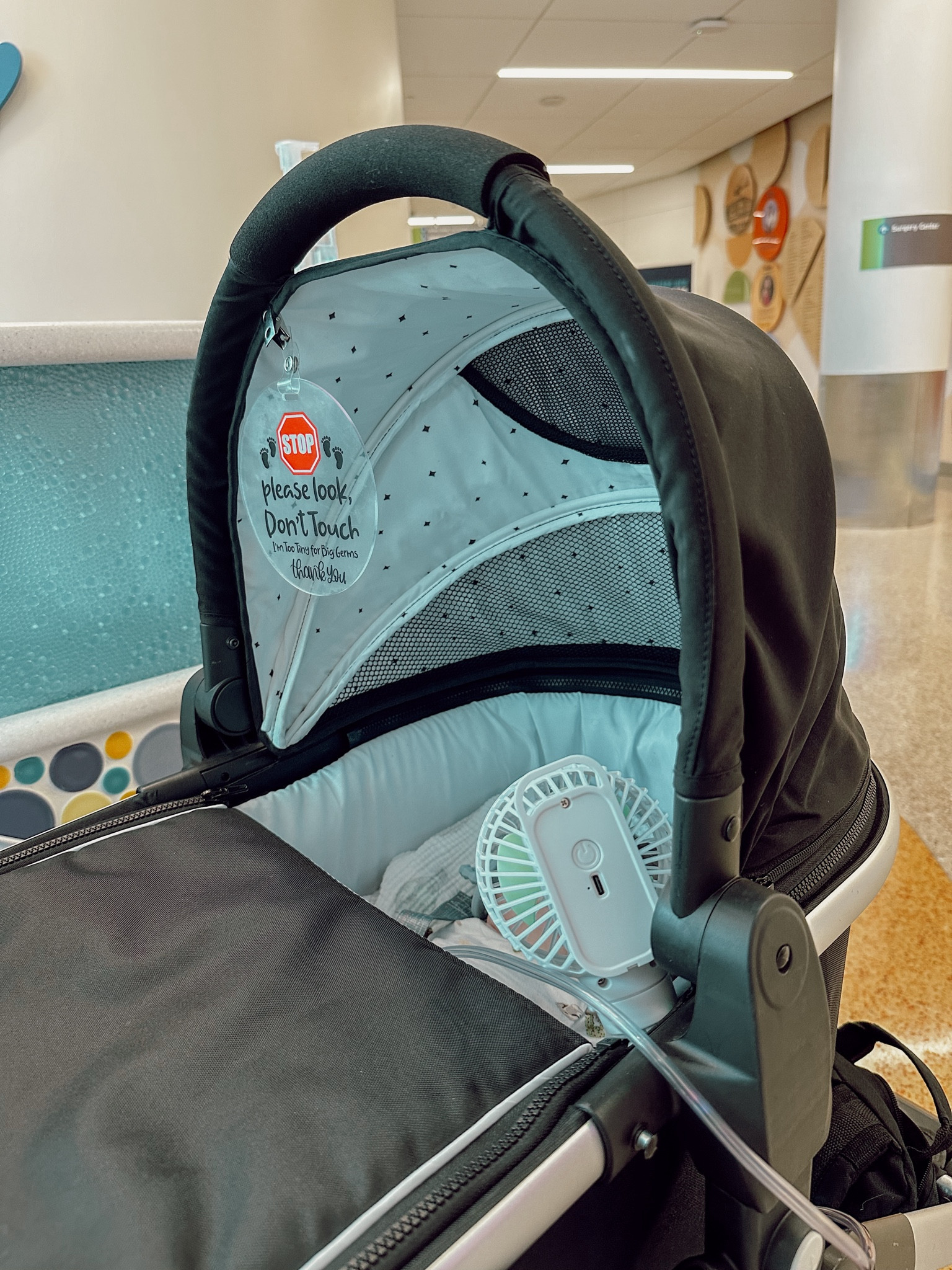 Autoimmune compromised baby stroller bassinet summer set up ☀️

Mockingbird | Stroller | Stroller Accessories | Baby | Newborn | Amazon Finds | Amazon Baby | Target | Target Finds | Little Unicorn 

#LTKBump #LTKFamily #LTKBaby