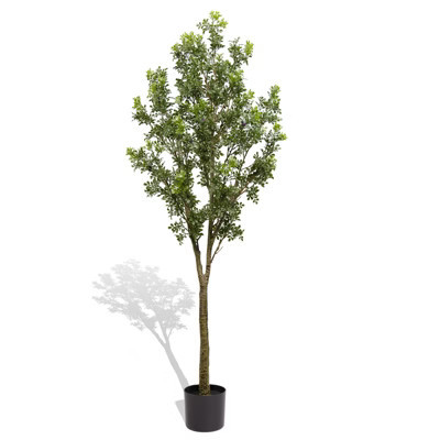 Cesicia 70.8'' Large Artificial Green Plants With Pots, For Courtyard & Garden & Door Decoration, 1pcs/Set | Target