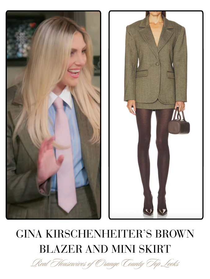 Gina Kirschenheiter's Brown Blazer and Mini Skirt 

 