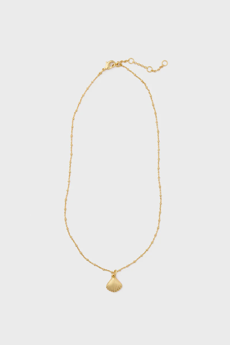 Gold Shell Bridget Necklace | Tuckernuck (US)