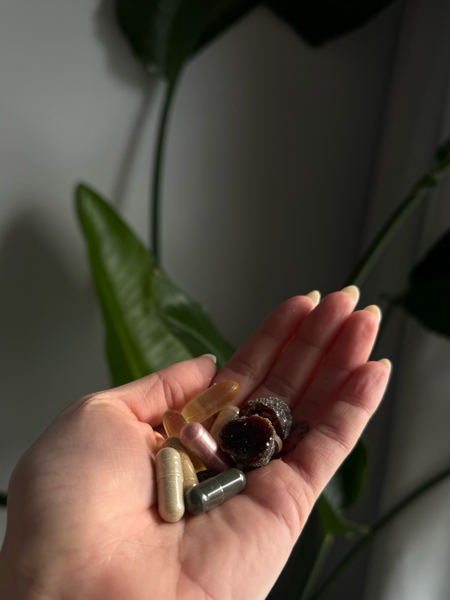 SUPPLEMENTS focusing on beauty & anti-aging  

#LTKBeauty #LTKHome #LTKActive