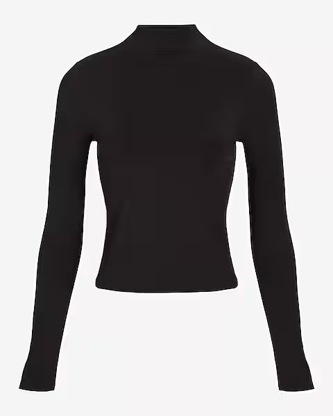 Body Contour Matte Mock Neck Long Sleeve Tee | Express