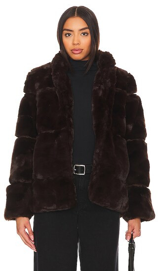 Skylar Jacket in Espresso | Revolve Clothing (Global)