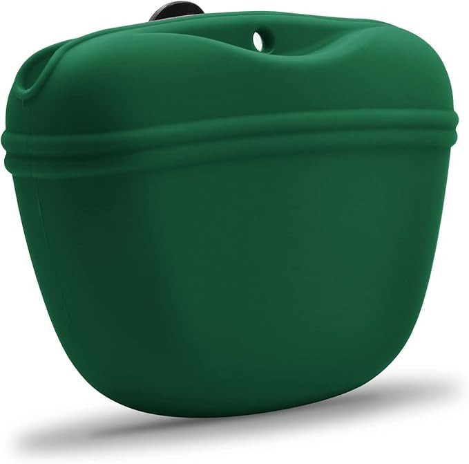 AUDWUD - Silicone Dog Treat Pouch - Clip on Portable Training Container - Convenient Magnetic Buc... | Amazon (US)