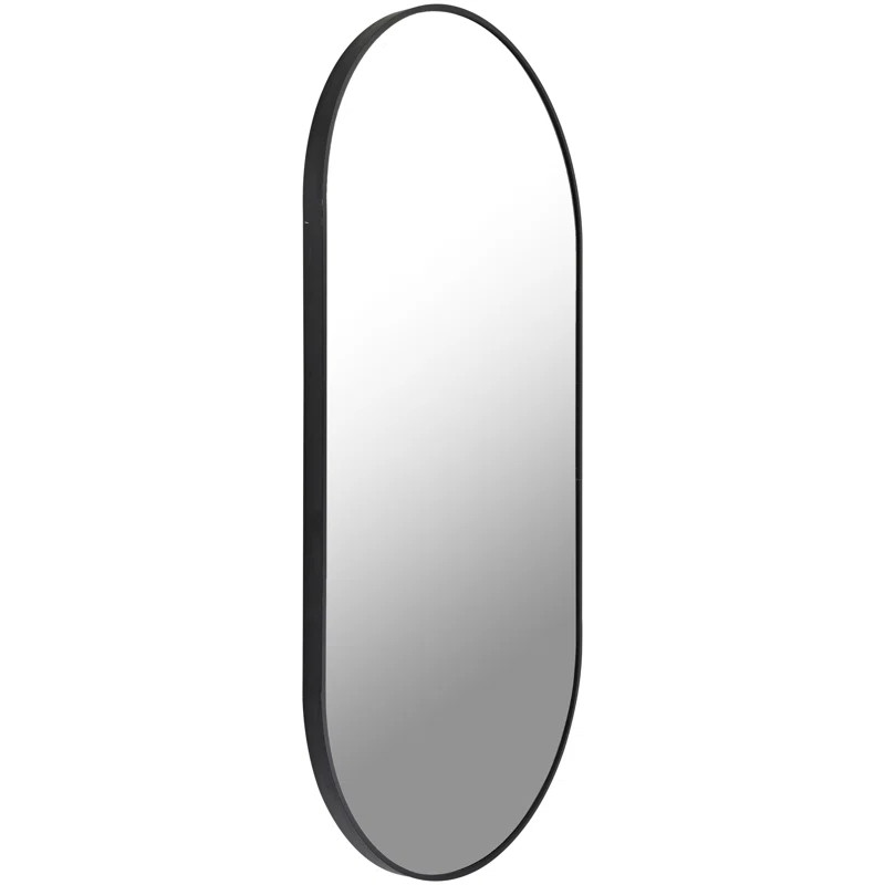 Tamayo Oval Pill-Shaped Metal Mirror | Wayfair North America