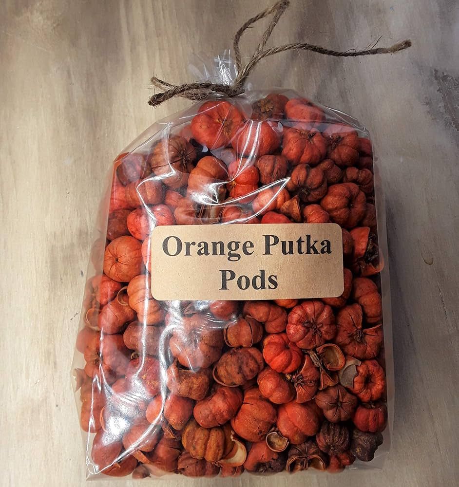 On The Bright Side Mini Orange Putka Pods (Pumpkin Pods) for Potpourri and Bowl Fillers 4 Heaping... | Amazon (US)