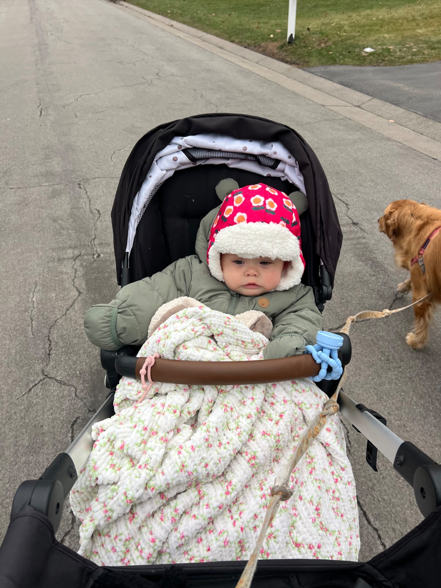 Stroller walks even in the winter🩷

#LTKKids #LTKmomlife #LTKBaby