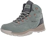 Columbia Women's Newton Ridge Plus Waterproof Amped Leather & Suede Hiking Boot, Light Lichen/Canvas | Amazon (US)
