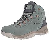 Columbia Women's Newton Ridge Plus Waterproof Amped Leather & Suede Hiking Boot, Light Lichen/Canvas | Amazon (US)