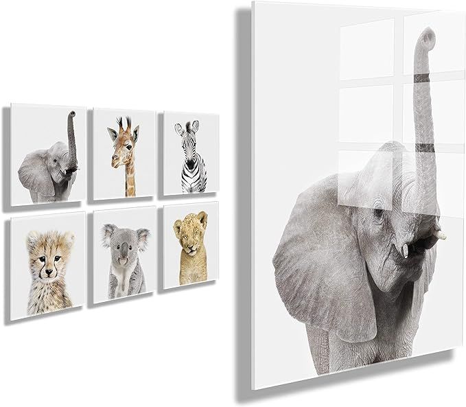 Kate and Laurel Safari Animal Collection Floating Acrylic Art Set by Amy Peterson Studio, Set of ... | Amazon (US)