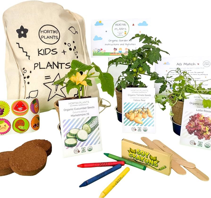Kids Organic Garden Kit - Kids Vegetable Garden - Kids Plant Grow Kit - Kid Garden Set - Science ... | Amazon (US)