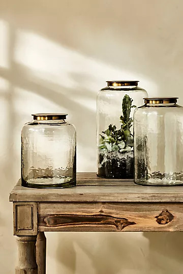 Hammered Glass Terrarium with Lid | Anthropologie (US)