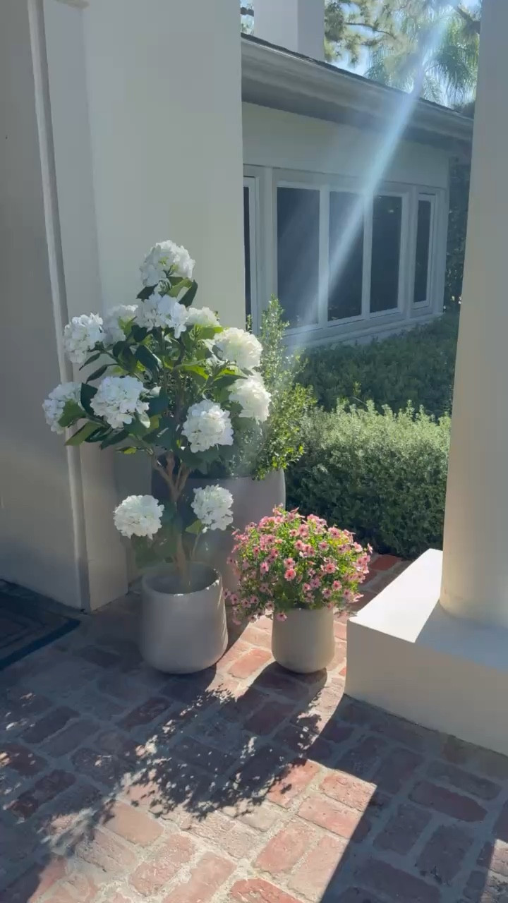 The easiest way to refresh your porch for spring and summer? Faux botanicals that look real but last all season.

#LTKvlog #LTKHome #LTKSeasonal