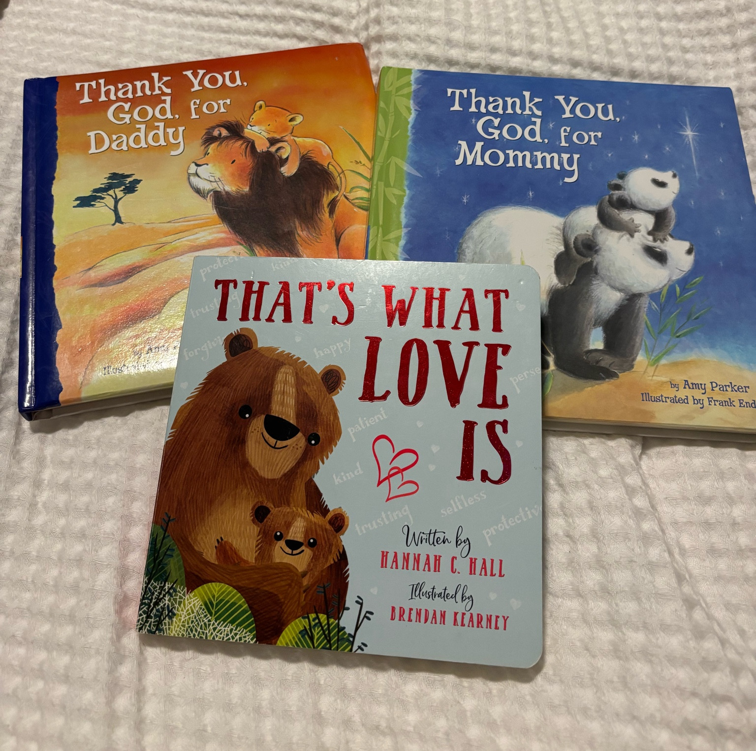 Our fav kids books! Would be a great last minute gift! We love That’s what love is because of the girl German shepherd in it 🥹 Beau always points to it and says it’s Bear! Linking a few of our other favorites as welll

#LTKGiftGuide #LTKKids #LTKHoliday