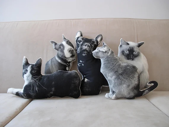 Custom Silkscreen Pet Pillow | Etsy | Etsy (US)