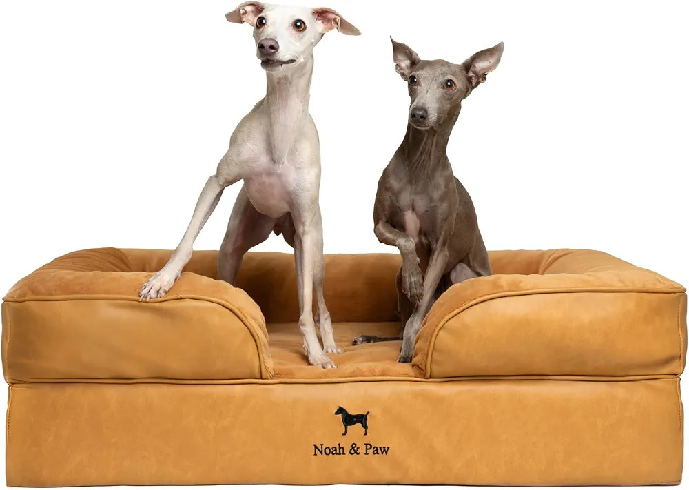 NOAH & PAW Large Dog Bed, 35x25x11 Inch, Orthopedic Dog Beds, Eggshell Memory Foam Infused with C... | Amazon (US)