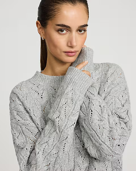 Open Stitch Crew Neck Sweater | Express