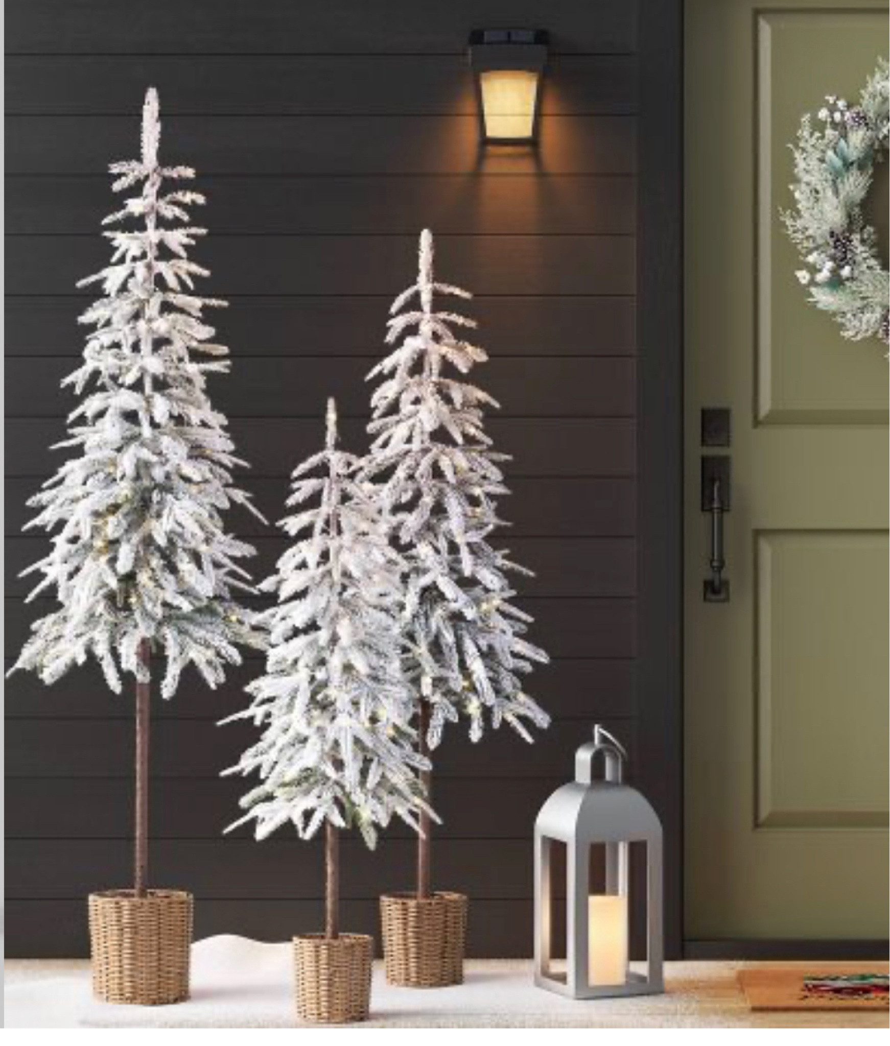 Cutest flocked down-swept alpine trees! How cute for a porch or room. They come in baskets too! A good Target  holiday buy  



#LTKhome #LTKSeasonal #LTKHoliday