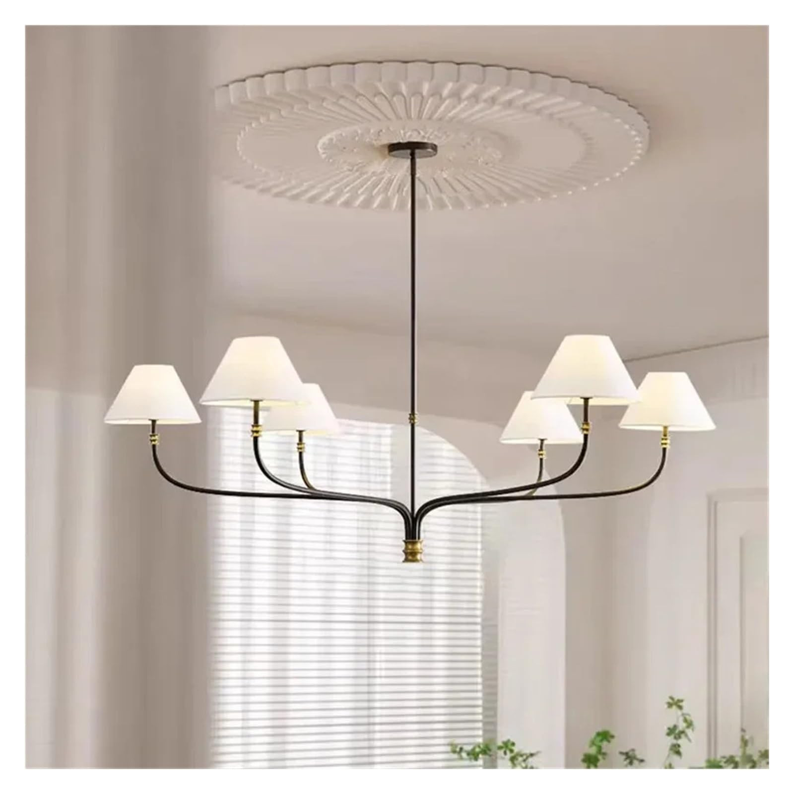 Warm White | Amazon (CA)