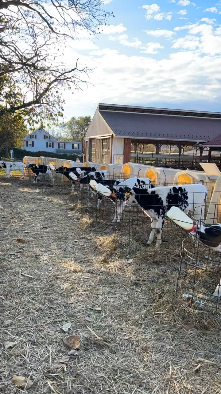 Leather pant fall outfit 

#LTKfindsunder50 #LTKSeasonal #LTKVideo