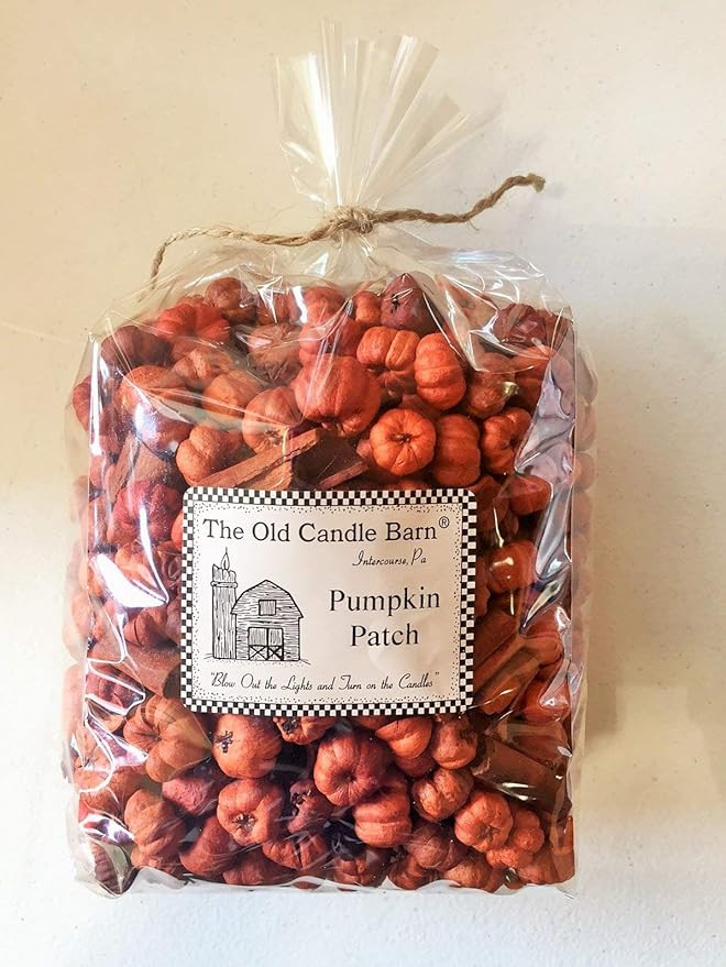 Old Candle Barn Pumpkin Patch Large Bag - Putka Pods Mini Pumpkins with Mini Cinnamon Sticks - Po... | Amazon (US)