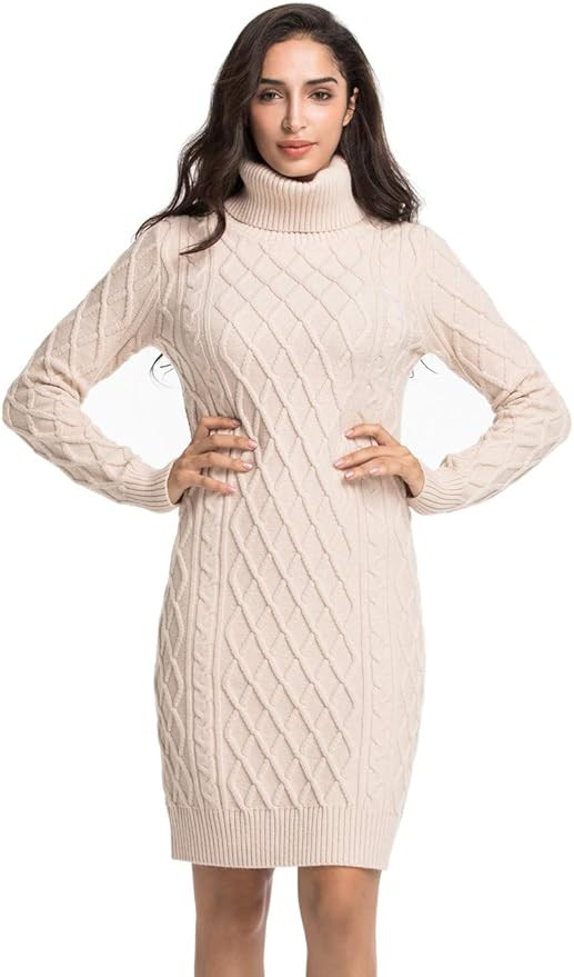 Lynz Pure Women's Turtleneck Sweater Dress Cable Knit Long Sleeve Slim Fit Jumper Dress | Amazon (US)