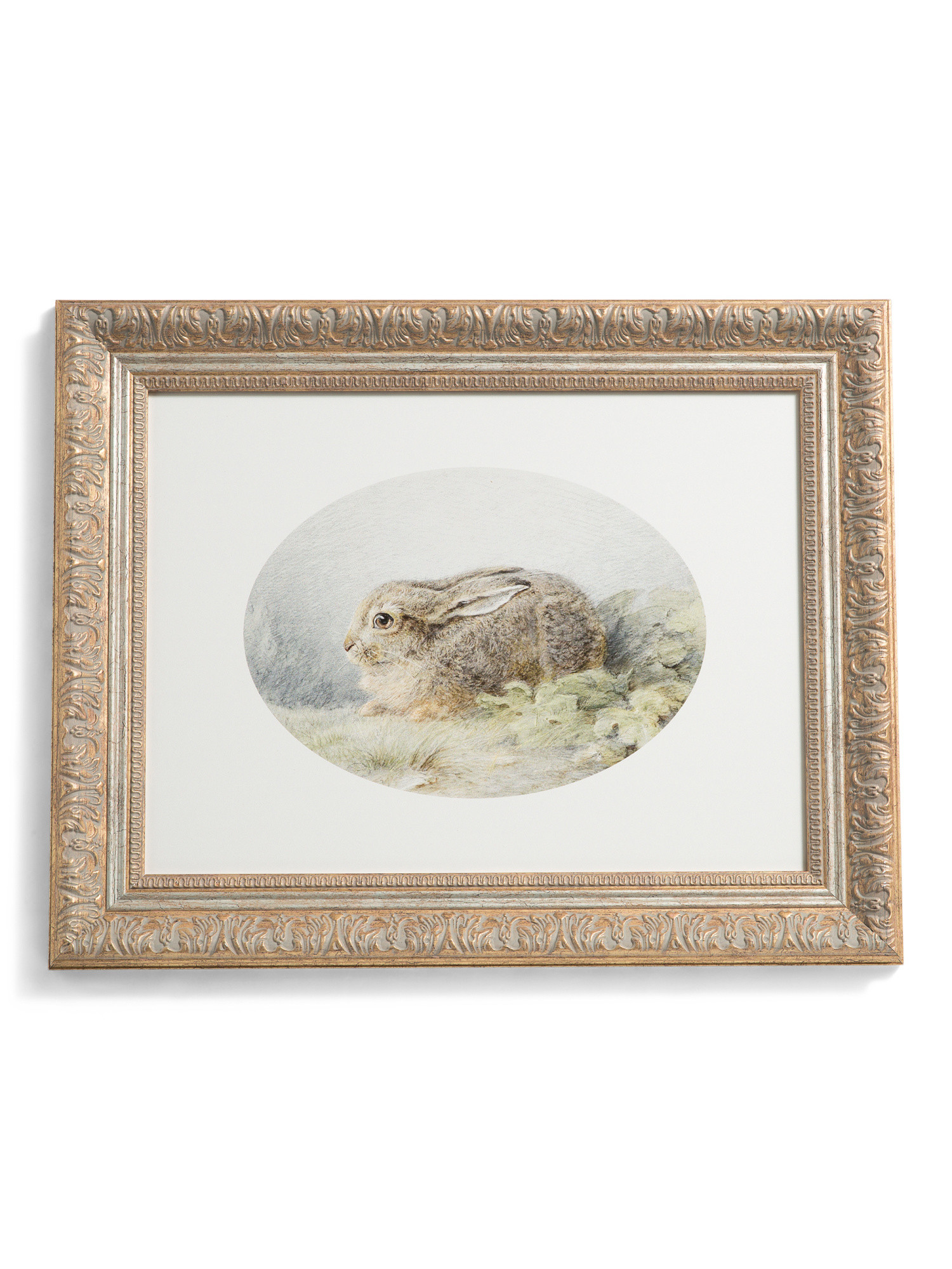 16x20 Oval Bunny Copper Gold Framed Wall Art | TJ Maxx