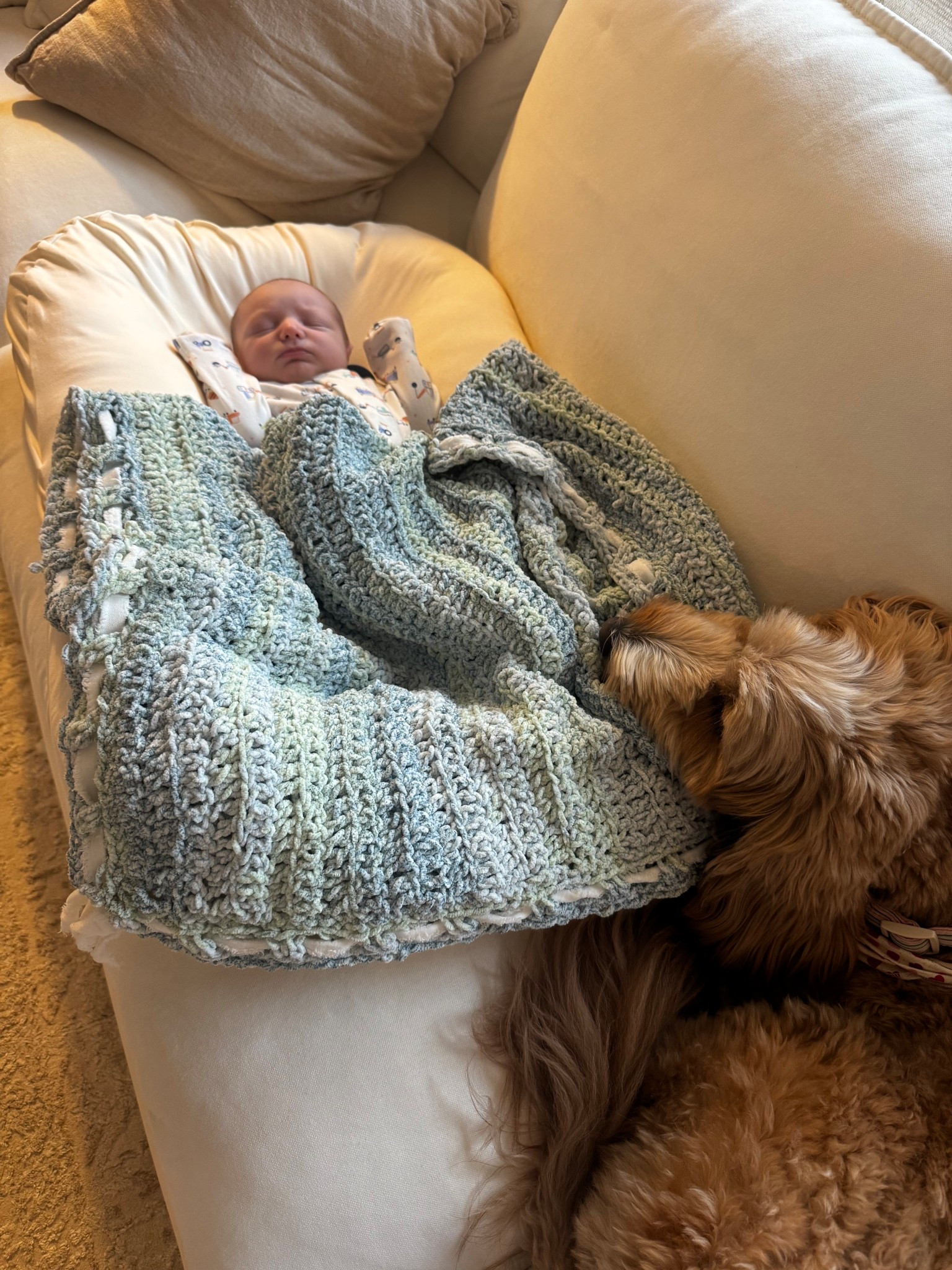 Baby lounger we are loving! 👶🏻

#LTKBaby #LTKmomlife