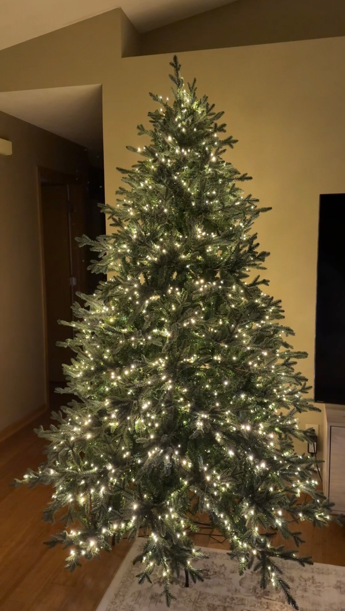 The viral twinkling Christmas tree is definitely worth the hype! #christmastree #twinklingchristmastree #viralchristmastree

#LTKHome #LTKSeasonal