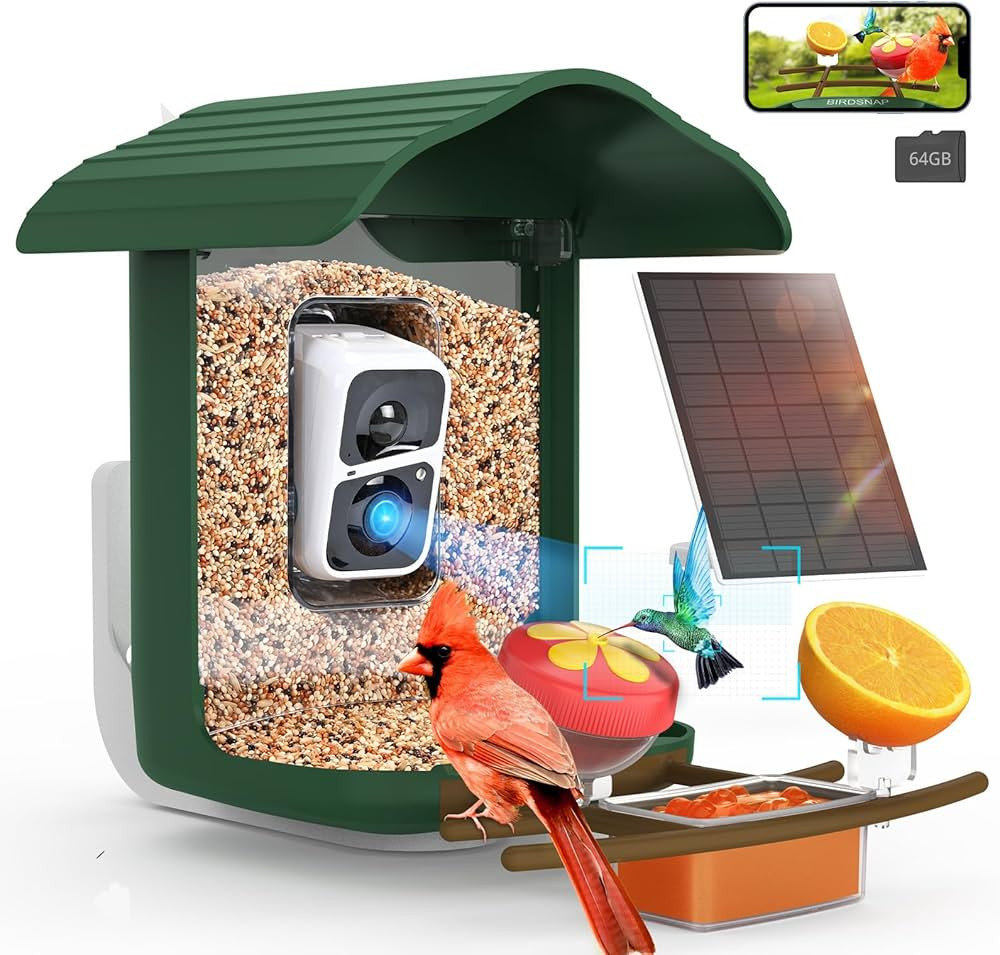 birdsnap® PAV - Smart Bird Feeder with Camera, 5 DIY Add-ons & 64GB Card Record Bird Video Bird ... | Amazon (US)