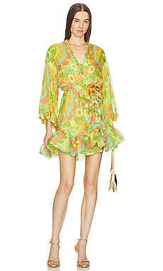 Alexis Analia Dress in Camellia Lime from Revolve.com | Revolve Clothing (Global)