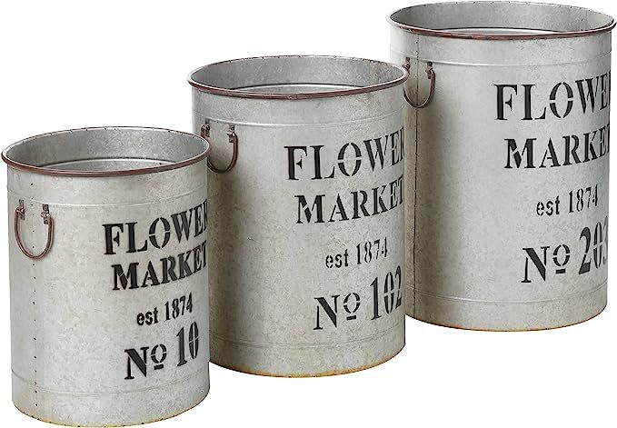 Creative Co-Op DA2847 Set of 3 "Flower Market" Buckets , Grey | Amazon (US)