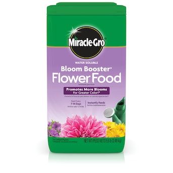 Miracle-Gro Water Soluble Bloom Booster 5.5-lb Water-soluble Granules Flower Food | Lowe's