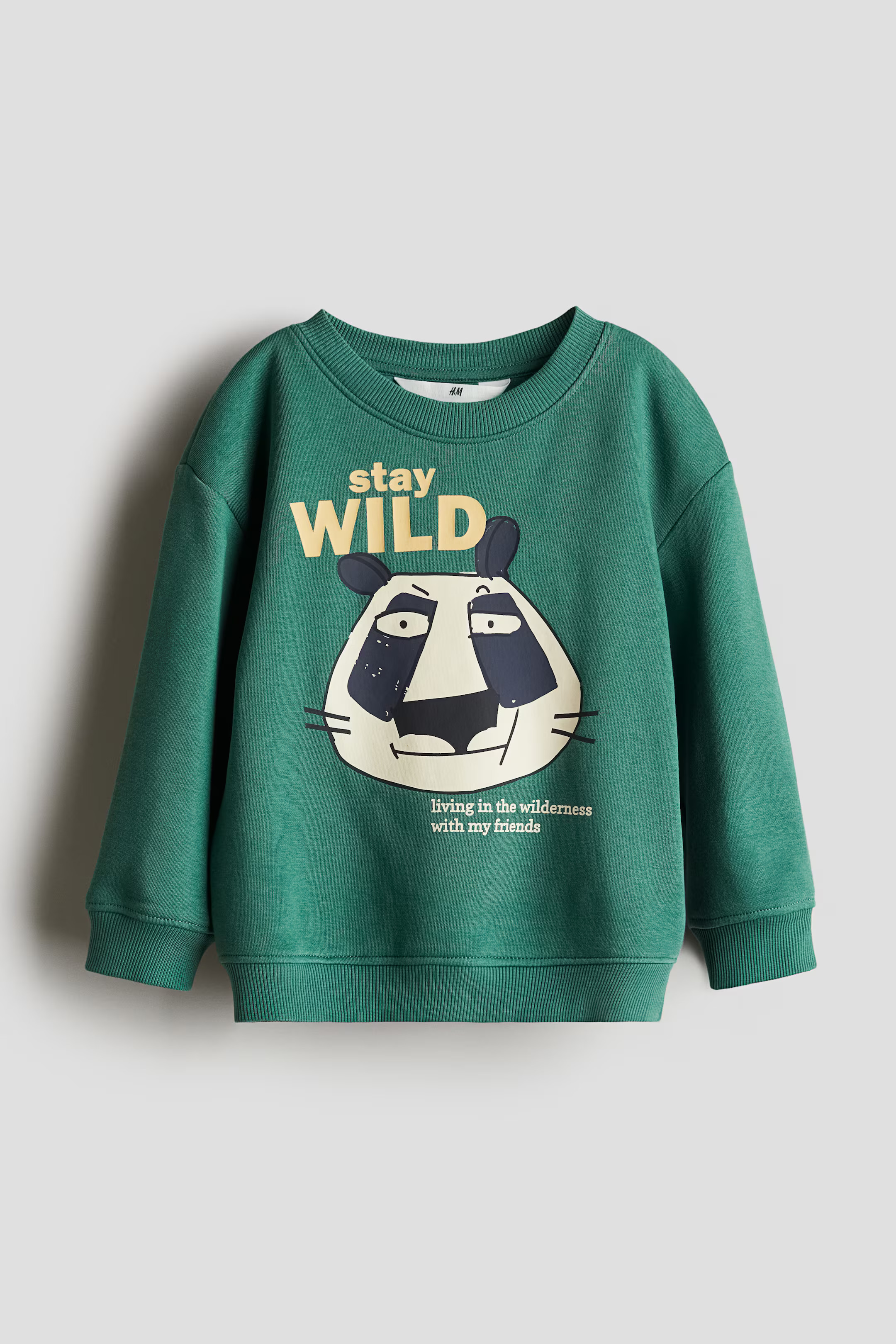 Sweatshirt | H&M (UK, MY, IN, SG, PH, TW, HK)
