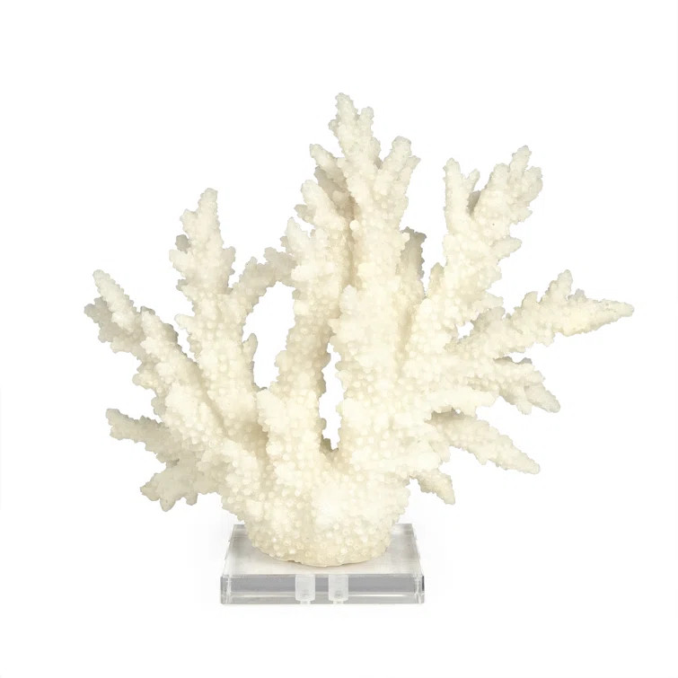 Nemec Coral on Acrylic Base Sculpture | Wayfair North America