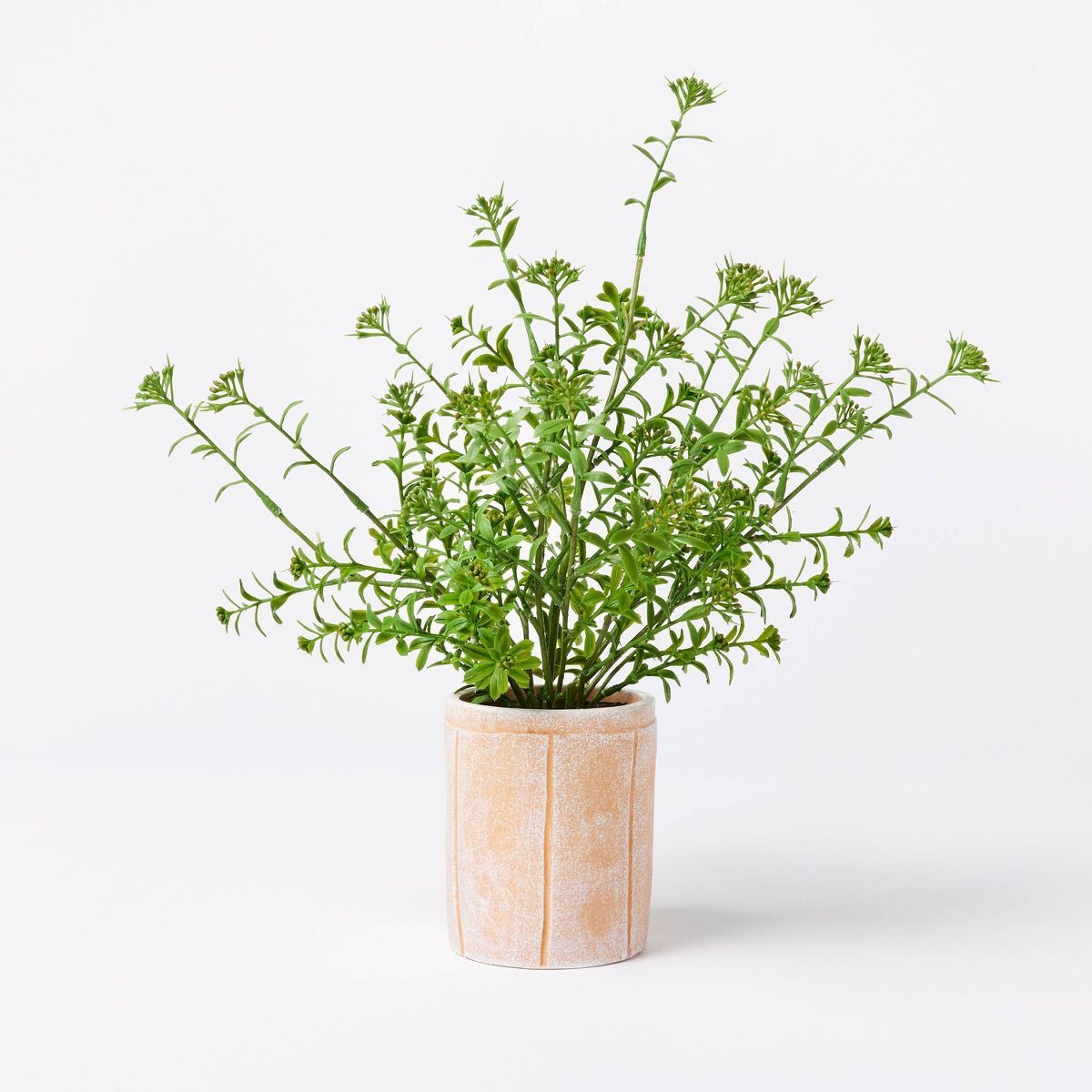 Artificial Sedum Plant in Pot - Threshold™ designed with Studio McGee | Target