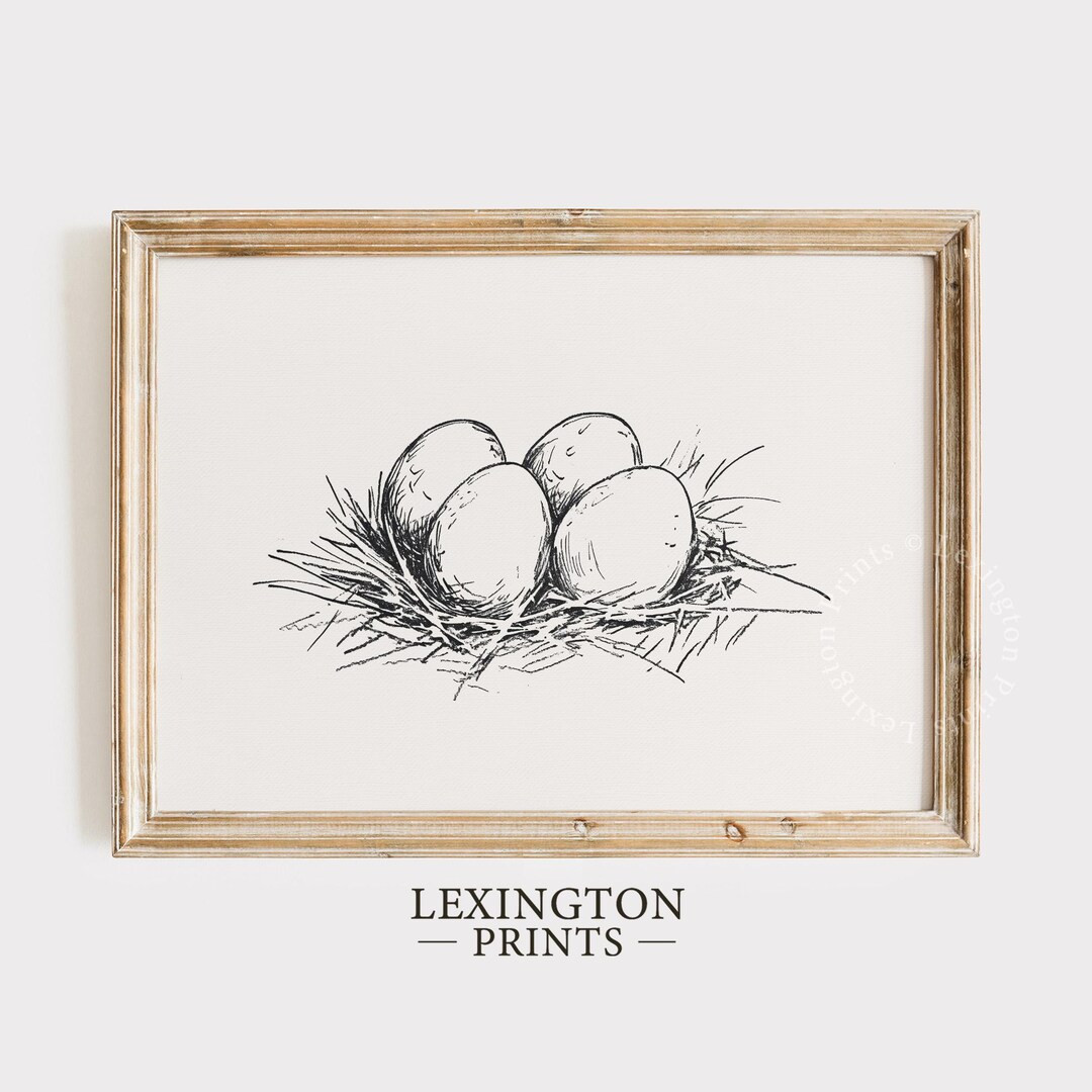Easter Egg Print, Sketch PRINTABLE Wall Art, Chicken Egg Sketch, Vintage Kitchen Wall Art, Rustic... | Etsy (US)