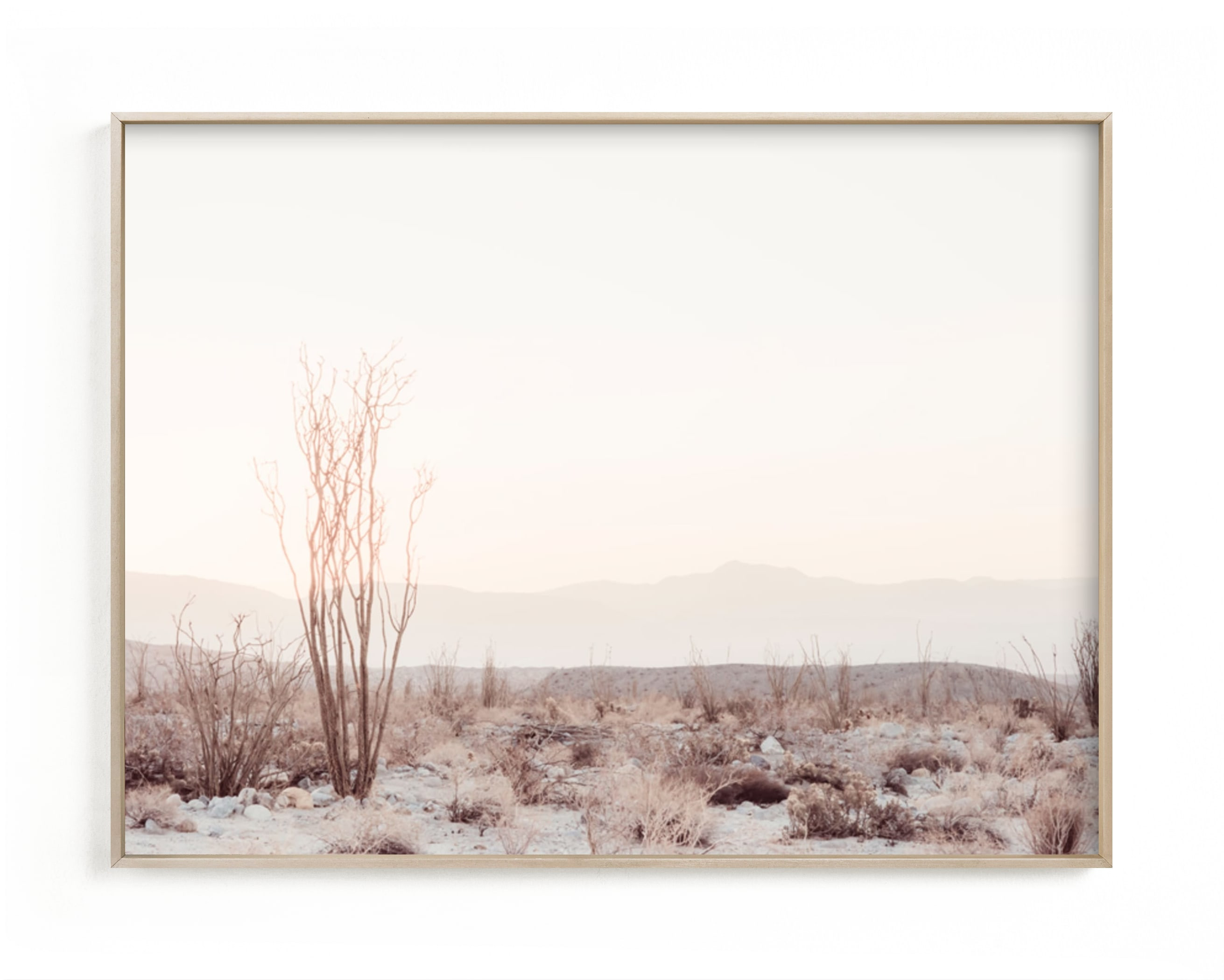 "Ocotillo II" - Photography Limited Edition Art Print by Kamala Nahas. | Minted
