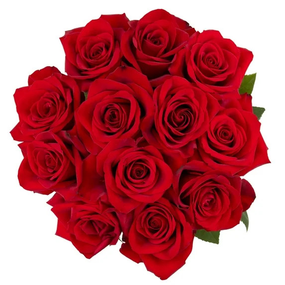 Dozen Red Roses | Walmart (US)