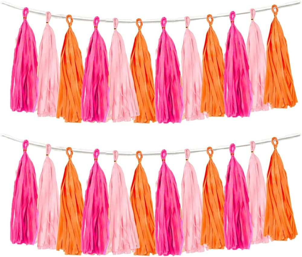 Rose red Pink and Orange Tassel Garland Banner Paper Tassels for Party Decorations,Pack of 15 | Amazon (US)