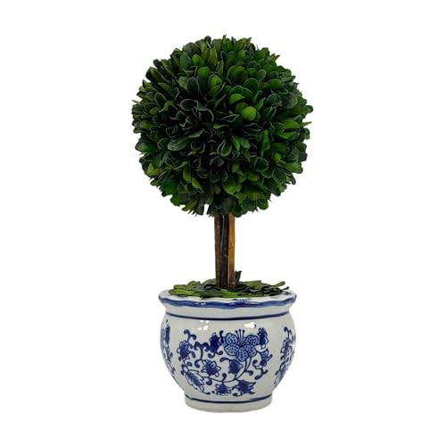 Galt International Naturally Preserved Boxwood Ball Topiary Tree in Round Hand Painted Blue & White Ceramic Pot Planter - European Rococo Home Decor Classic Chinoiserie Small 11" Tall Topiary | Amazon (US)