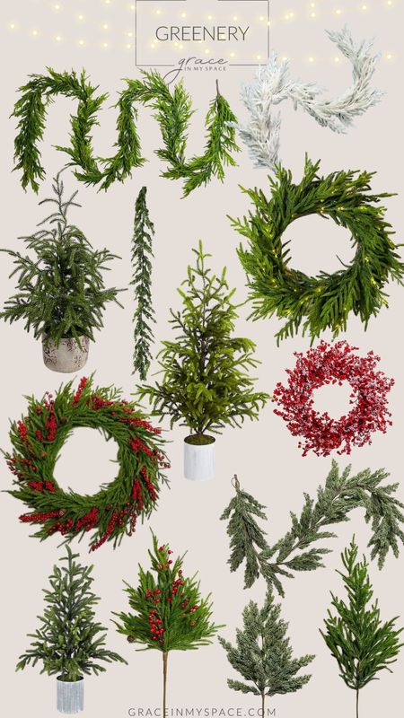 Realistic greenery can be hard to find on a budget. I love these options for Norfolk pine, cedar garland and pine branches! Use code FAMILY for 25% off  

#LTKSeasonal #LTKHoliday #LTKHolidaySale