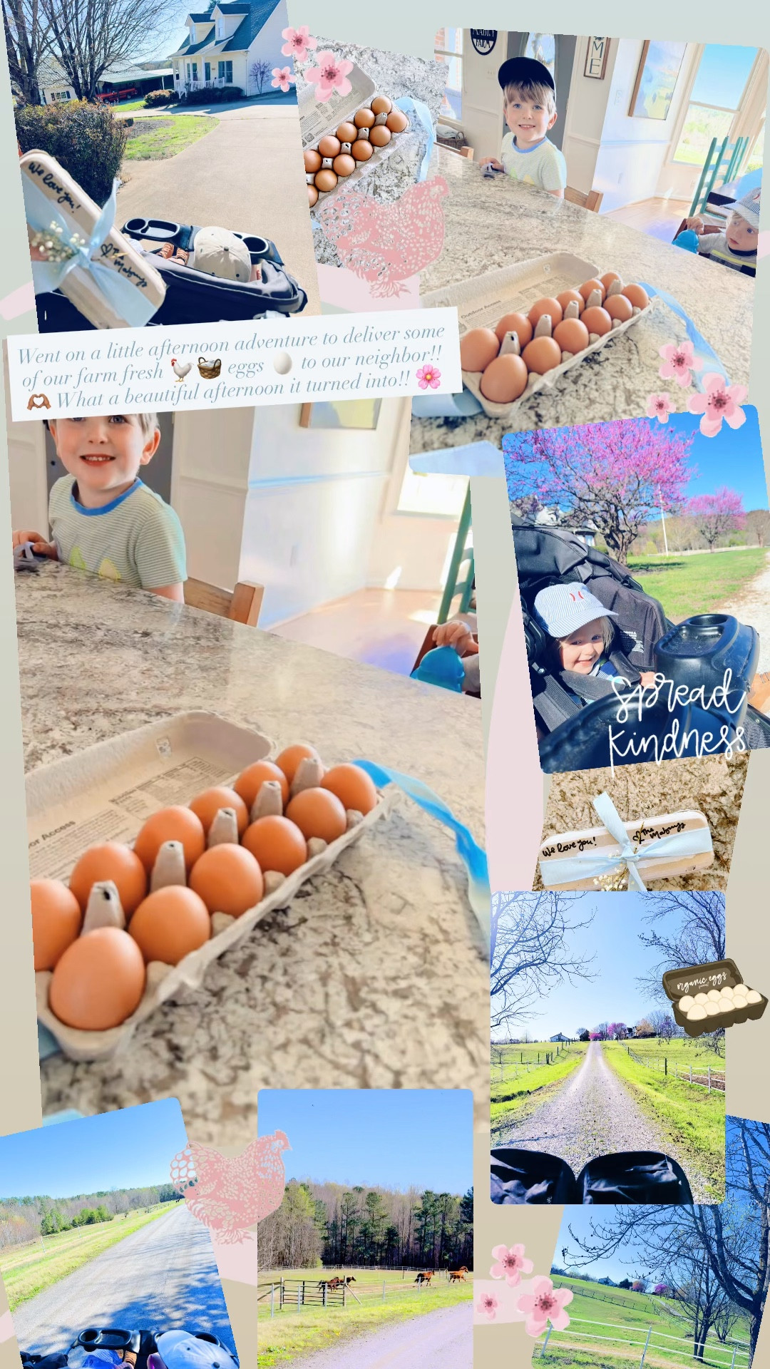 Went on a little afternoon adventure to deliver some of our farm fresh 🐓🧺 eggs 🥚 to our neighbor!! 🫶🏽 What a beautiful afternoon it turned into!! 🌸