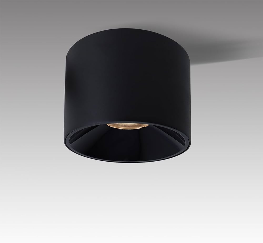 LED Dimmable Ceiling Spot light Aluminum Matte Black 4.72'' Cylinder Down Light Indoor Modern Min... | Amazon (US)