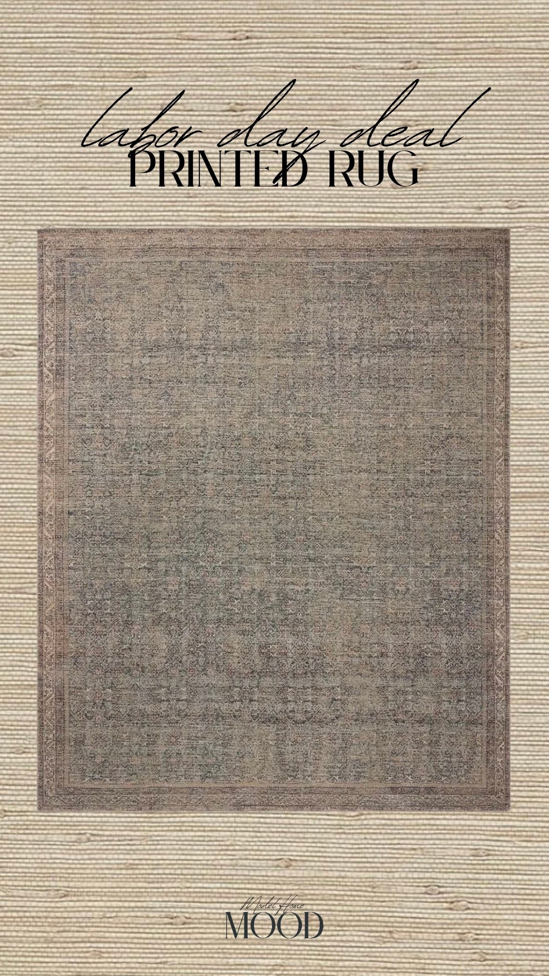 A STEAL! 🚨 The rugs I have covering my home! Durable & low pile for kids + pets. Vintage look without the price tag!